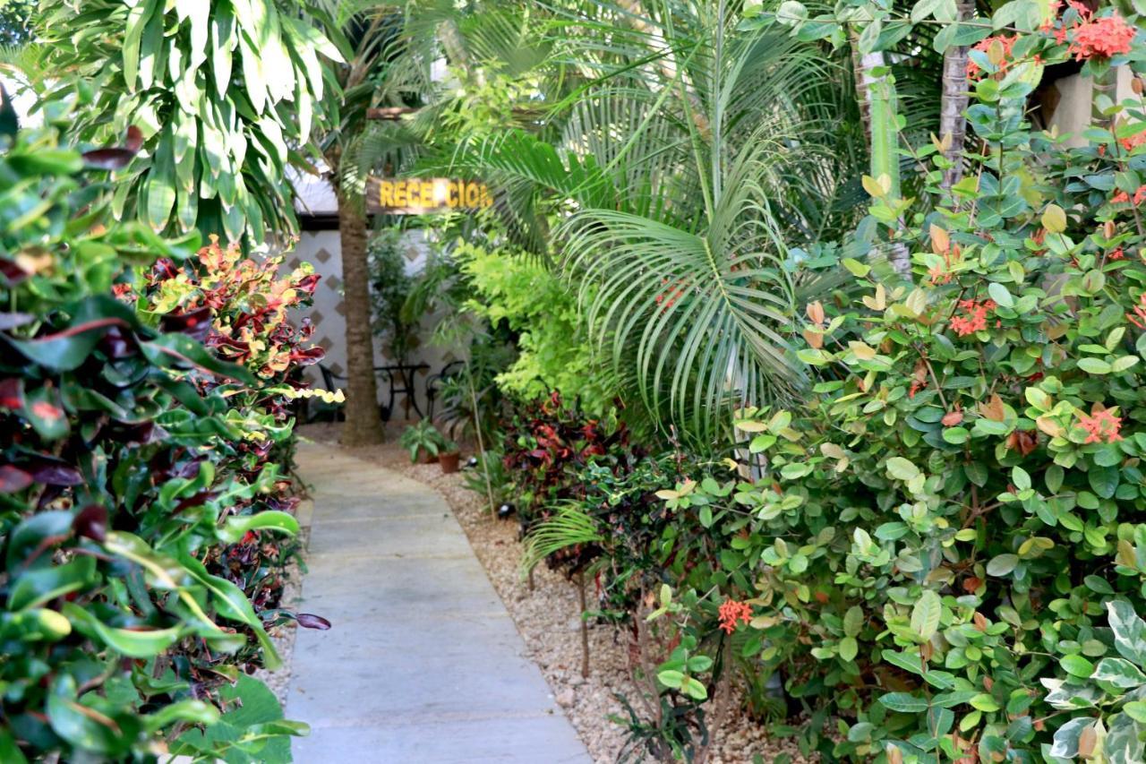 10 Avenue, 1 Min Walking To The 5 Av & 4 Playa del Carmen